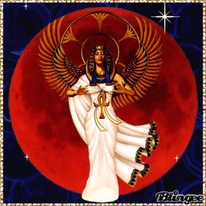 Meet your Posher, Bonnie